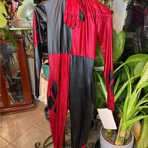 Harley Quinn Cosplay- Partial